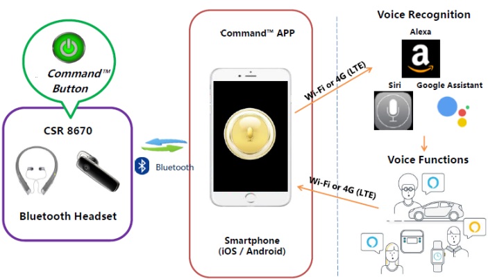 voice Alexa